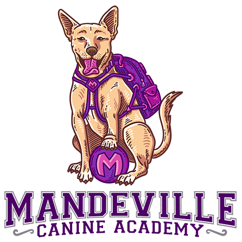 Mandeville Canine Academy